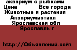 аквариум с рыбками › Цена ­ 1 000 - Все города Животные и растения » Аквариумистика   . Ярославская обл.,Ярославль г.